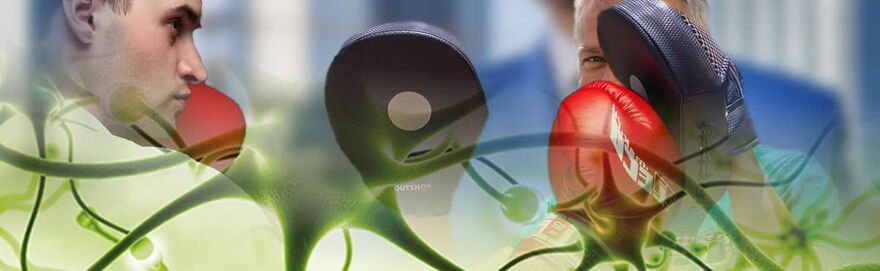 Coaching und Beratung für Einzelpersonen, Paare, Familien und Gruppen - The Good Solution GmbH - www.mental-sparring.ch